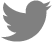 Twitter Icon
